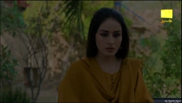 Shiddat - Episode 12 - 19th March 2024